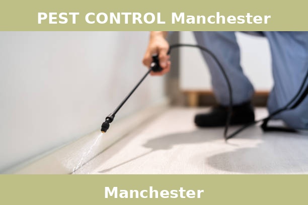 PEST CONTROL Manchester
